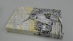 Cover of The Grey Mane of Morning