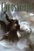 Cover of Chaosbound
