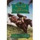 Cover of In the Hall of the Dragon King