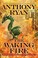 Cover of The Waking Fire