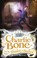 Cover of Charlie Bone and the Shadow of Badlock