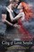 Cover of City of Lost Souls