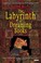 Cover of The Labyrinth of Dreaming Books
