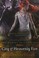Cover of City of Heavenly Fire
